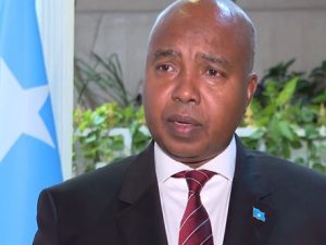former-fm:-ethiopia-lobbied-somali-government-to-reject-aid-from-egypt