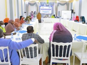 why-press-freedom-and-end-to-fgm-are-related-in-somalia