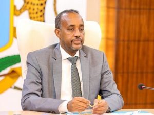 somali-prime-minister-suspends-foreign-minister-over-illegal-charcoal-exports