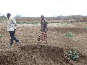 mudug-farmers-abandon-fields-in-drought-despair