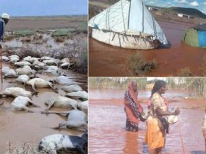 news:-heavy-flood-kills-seven-in-drought-ravaged-dawa-zone,-somali-region,-displace-idps-reeling-from-drought