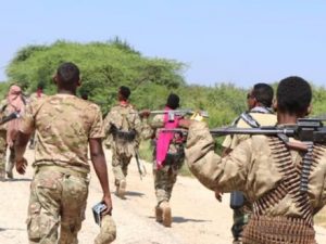 nisa-forces-kill-16-al-shabaab-militants-in-lower-shabelle-raid