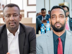 somali-lawmaker-accuses-federal-government-of-diverting-army-funds-to-clan-militias