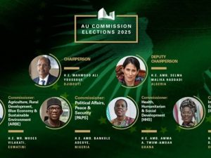 future-of-african-leadership:-assessing-new-auc-officials-and-their-impact-on-governance
