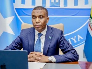 somali-pm-participates-in-regional-meeting-on-drc-crisis