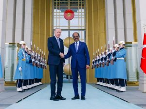 erdogan-reaffirms-support-for-somalia’s-security,-stability-in-presidential-meeting