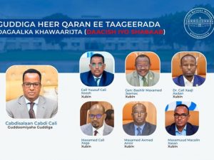 somali-government-forms-high-level-committee-to-lead-fight-against-al-shabaab,-isis