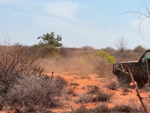 somali-forces-expel-al-shabaab-fighters-from-aboorey-in-hiiraan-offensive