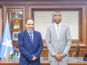 somali-prime-minister-seeks-stronger-economic-ties-with-arab-league-nations