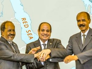 somalia’s-shifting-alliances-fuel-proxy-rivalries-in-horn-of-africa,-georgetown-study-warns