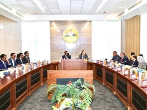 somali-delegation-meets-egyptian-officials-to-enhance-public-sector-development