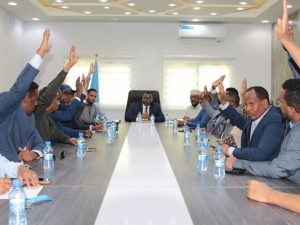 somali-mp-qawdhan-elected-chair-of-parliament’s-finance-oversight-committee