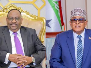 puntland:-somaliland-prisoner-swap-took-place-without-mediation
