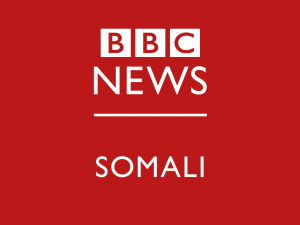 qoys-soomaali-ah-oo-ka-kooban-lix-qof-oo-aano-qabiil-loo-dilay