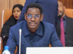 somali-government-lifts-flight-ban-on-doolow-district-airport-in-gedo-region
