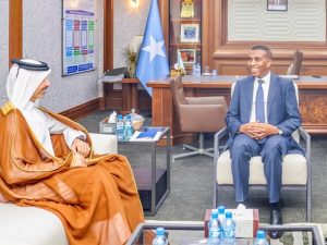 somali-pm-meets-qatari-ambassador-to-boost-bilateral-cooperation-and-development-support