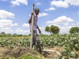 can-cash-handouts-replace-aid?-kenya-offers-some-answers