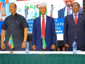 mustafa-cagjar-urges-somali-diaspora-to-invest-in-ethiopia’s-somali-state