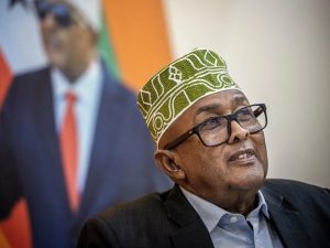 exclusive:-somaliland-president-says-recognition-of-state-‘on-the-horizon’-following-trump-talks