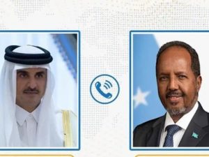 somali-president-holds-phone-talks-with-qatari-and-turkish-leaders-on-development-cooperation