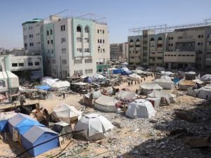 kenyan-muslims-raise-ksh5.4m-for-gaza-relief-in-eid-ul-adha-initiative