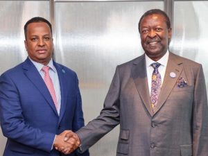 details-of-mudavadi’s-meeting-with-somalia’s-foreign-minister