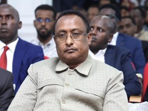 mogadishu-mayor-dismisses-long-serving-warta-nabadda-commissioner
