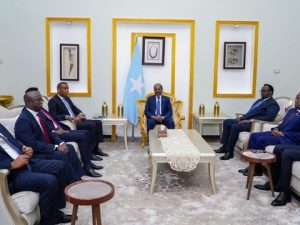 somalia-postpones-national-consultative-council-meeting-amid-independence-celebrations