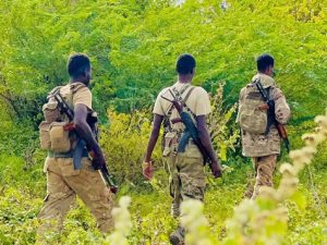 somali-forces,-local-militias-kill-20-al-shabab-militants-in-hiiraan-region