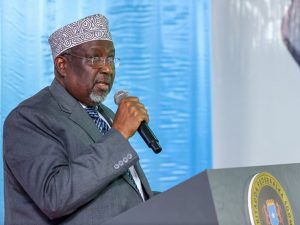 parliament-speaker-calls-for-unity-against-al-shabab-during-independence-week-celebration