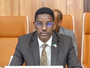 somali-security-minister-urges-immediate-ceasefire-in-abudwak-district
