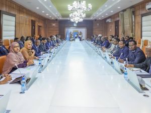 somali-cabinet-approves-15-member-higher-education-oversight-body