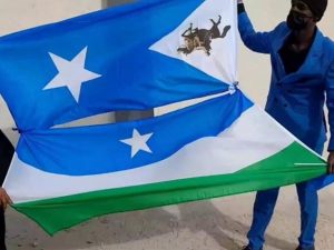 it’s-time-to-end-the-rift-between-puntland-and-ssc/khatumo:-blood-is-thicker-than-borders