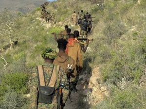 puntland-soldiers-killed-in-clashes-with-isis-in-bari-region