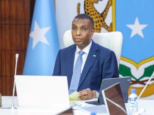 somali-pm-orders-urgent-relief-for-drought-hit-awdal-region
