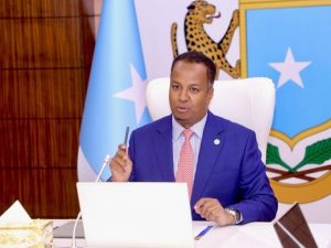 somalia-reaffirms-support-for-syria-amid-escalating-tensions