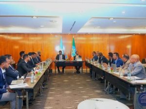 somalia,-ethiopia-hold-review-meeting-in-addis-ababa-to-deepen-bilateral-ties