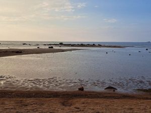 drowning-of-3-somali-teens-in-finland-sparks-grief,-safety-calls