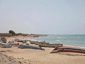seven-ethiopian-migrants-die-of-hunger,-thirst-on-boat