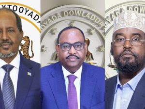madaxweyne-xasan-shiikh-oo-sheegay-in-wada-hadal-ka-doorteen-khilaafka-puntland-iyo-jubbland