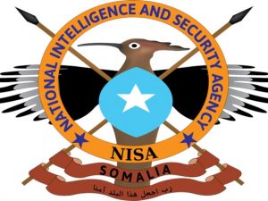 nisa,-international-partners-kill-seven-al-shabaab-militants-in-middle-shabelle-region