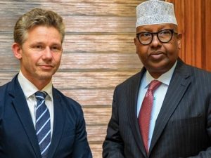 somalia,-sweden-agree-to-expand-defence-ties