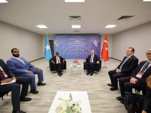 somali-and-turkish-ministers-discuss-expanding-trade-and-investment-ties