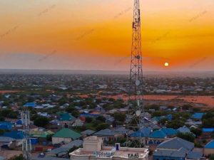 10-ruux-oo-24-saac-gudahood-lagu-dilay-magaalada-balad-xaawo