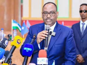 saciid-deni-oo-ugu-yeeray-madaxweynaha-soomaaliya-inuu-yimaado-gogol-wadahadal