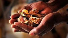 fooxa-adduunka-kasii-dhamaanaya-ee-laga-helo-somaliland