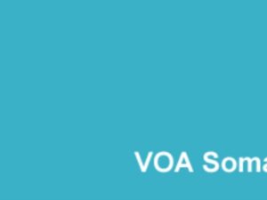 idaacadda-habeennimo