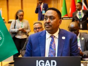igad-oo-ku-baaqday-wadahadal-iyo-is-xakameyn-xaaladda-koonfur-galbeed