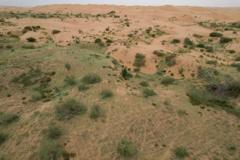 sidee-saxaraha-looga-dhigi-karaa-dhul-doog-leh?