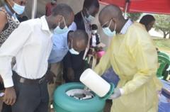 waa-maxay-xanuunka-ebola-ee-ka-dillaacay-congo,-sideese-la-isaga-ilaalin-karaa?